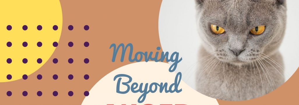 Moving Beyond Anger